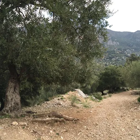 Villa La Fuente
