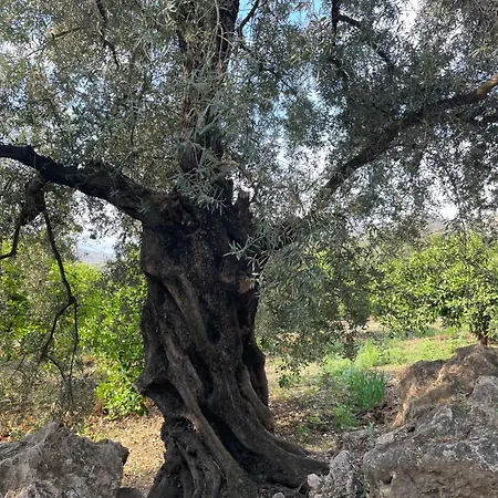 La Fuente